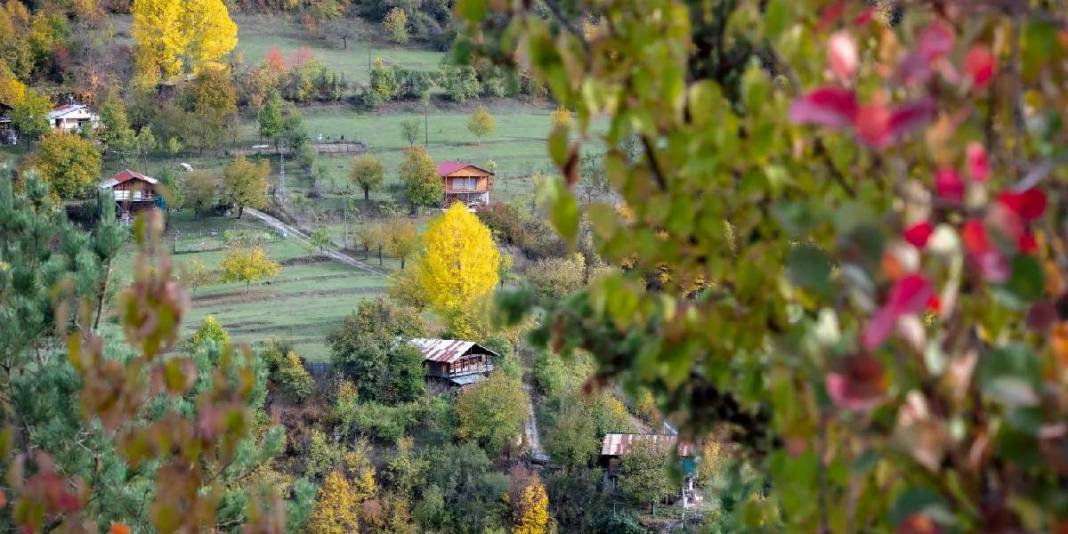 Karadeniz'in yaylaları eşsiz görünümde! Şimdi keşfin tam zamanı: Bu hali ayrı cezbedecek 2